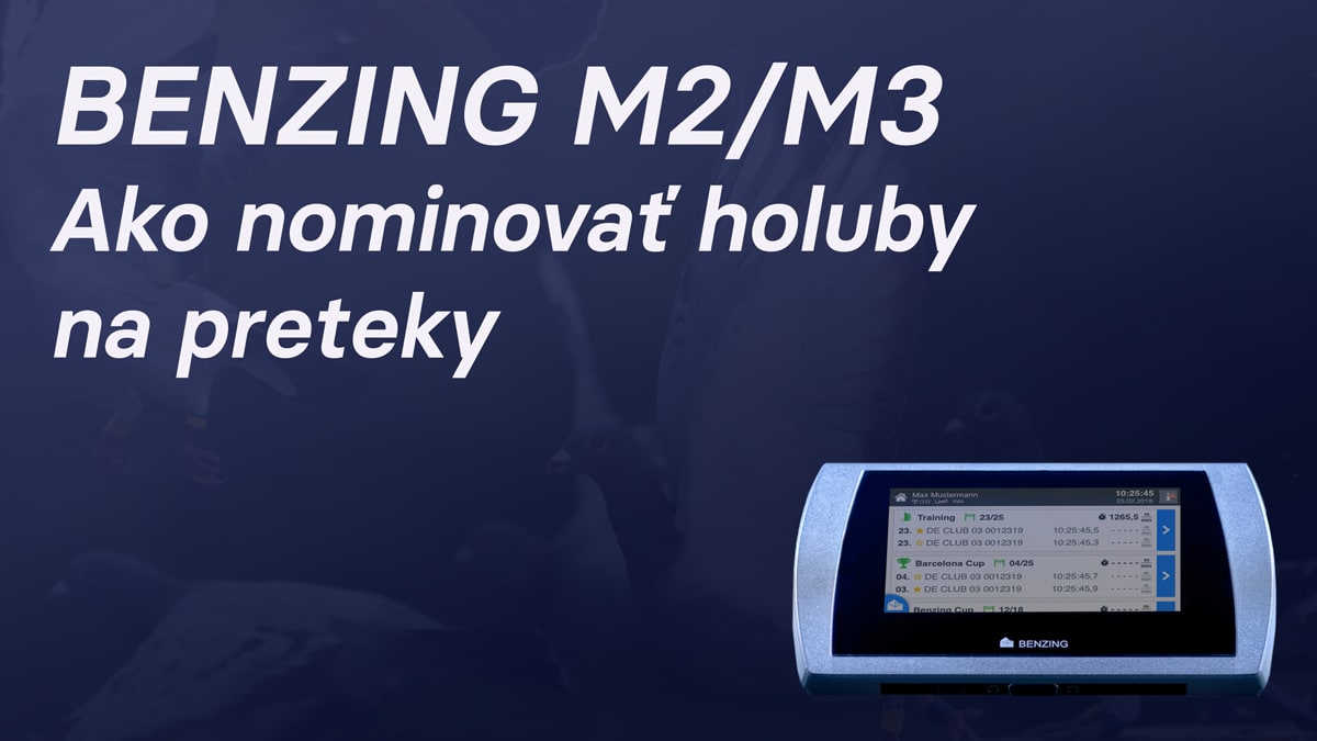 Ako nominovať holuby na preteky