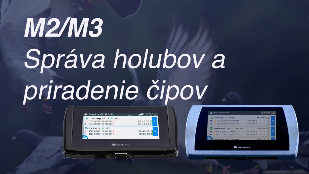 Správa holubov a priradenie čipov