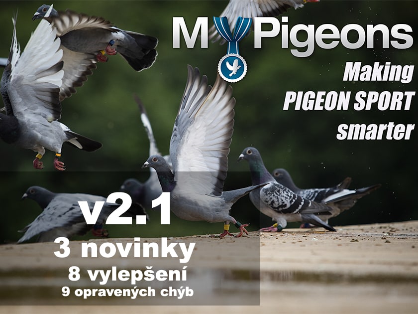 Novinky v MyPigeons 2.1