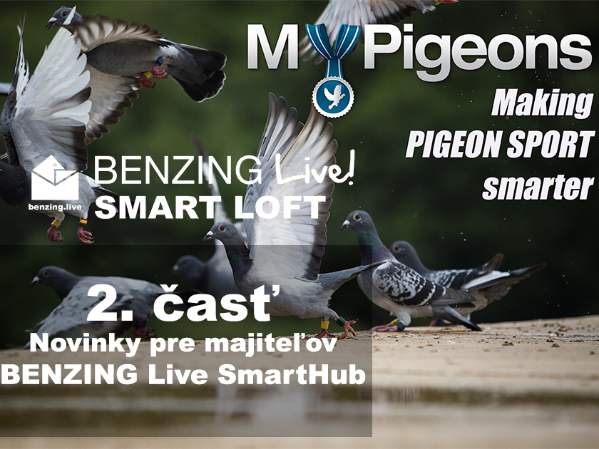 Predstavujeme MyPigeons 2.0 - novinky pre majiteľov BENZING Live