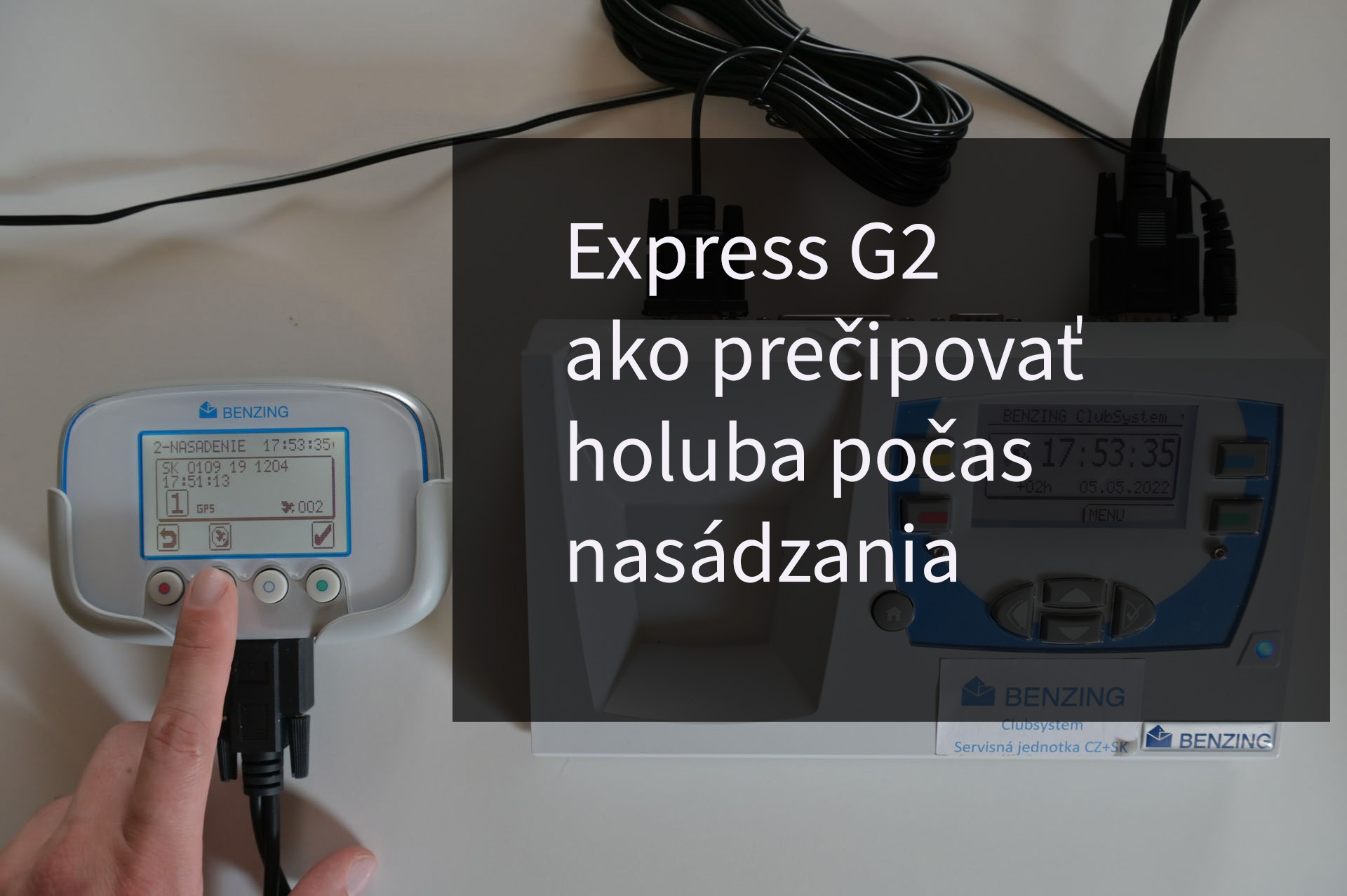 Express G2 - Prečipovanie holuba počas nasádzania