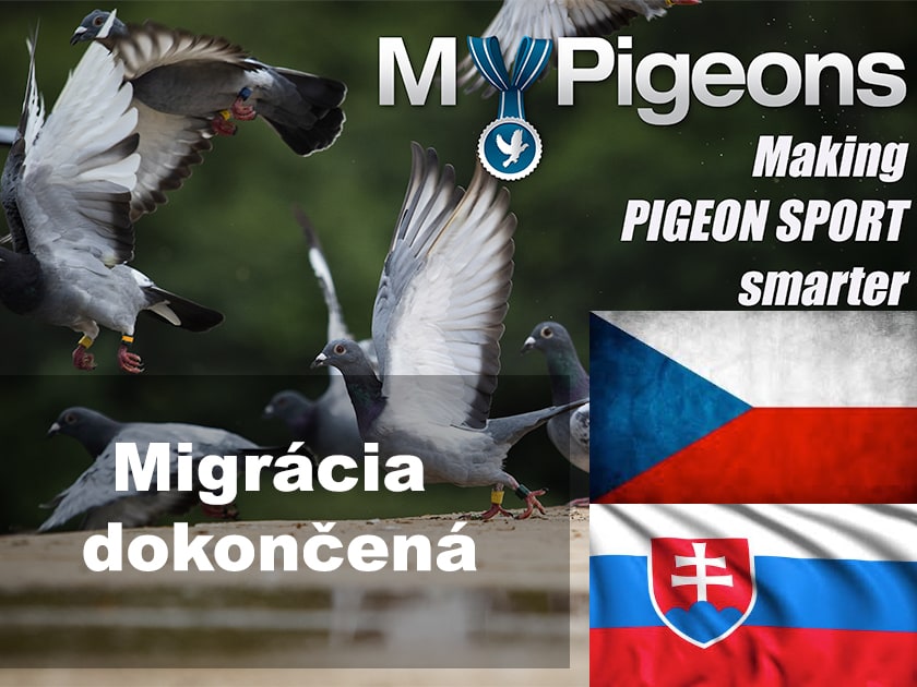 Migrácia Live údajov na MyPigeons
