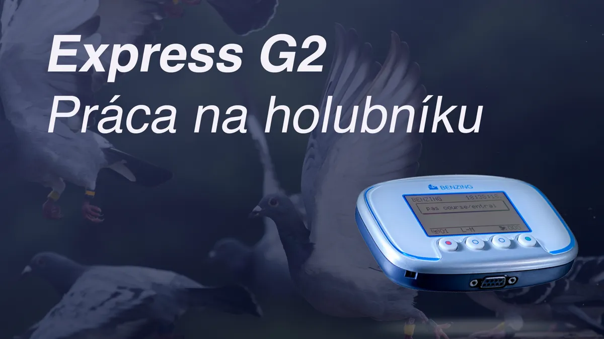 Práca na holubníku